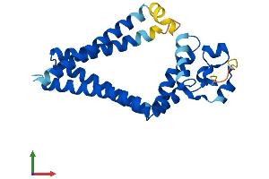 Protein Structure (PS) image for Tetraspanin 1 (TSPAN1) (AA 1-241) protein (His tag) (ABIN7544781)