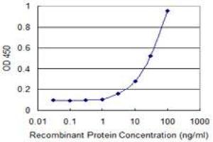 Detection limit for recombinant GST tagged FOXM1 is 1 ng/ml as a capture antibody. (FOXM1 抗体  (AA 22-110))