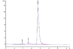 The purity of Human TNFRSF11A is greater than 95 % as determined by SEC-HPLC.