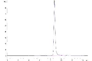 Size-exclusion chromatography-High Pressure Liquid Chromatography (SEC-HPLC) image for CD4 (CD4) (AA 26-390) protein (His tag) (ABIN7274190)