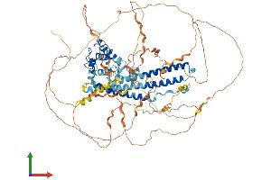 Protein Structure (PS) image for MICAL-Like 1 (MICALL1) (AA 1-870) protein (His tag) (ABIN7564343)