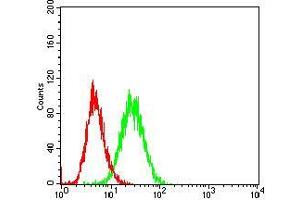 Flow cytometric analysis of Hela cells using CD36 mouse mAb (green) and negative control (red). (CD36 抗体  (AA 30-130))