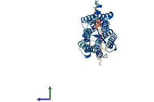 Protein Structure (PS) image for Opsin 1 (Cone Pigments), Short-Wave-Sensitive (OPN1SW) (AA 1-346) protein (His tag) (ABIN7563382)