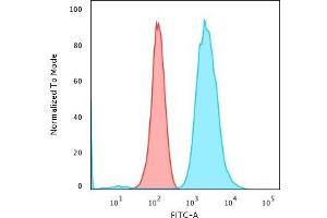 Flow Cytometric Analysis of PFA-fixed K562 cells using Fascin-1 Mouse Monoclonal Antibody (FSCN1/418) followed by Goat anti-Mouse IgG-CF488 (Blue); Isotype Control (Red) (Fascin 抗体)