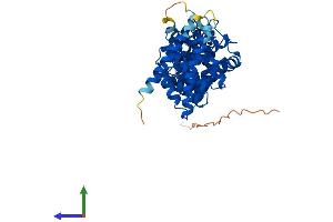 Protein Structure (PS) image for F-Box Protein 47 (FBXO47) (AA 1-452) protein (His tag) (ABIN7547563)