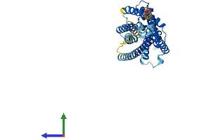 AlphaFold protein structure predicition of Human Recombinant P2RY13 Protein, UniprotID Q9BPV8