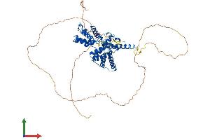 Protein Structure (PS) image for Cyclin L1 (CCNL1) (AA 1-526) protein (His tag) (ABIN7553263)