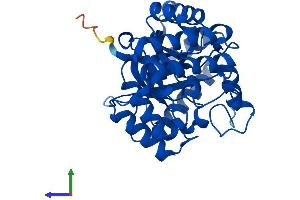 Protein Structure (PS) image for Aldo-Keto Reductase Family 7, Member A3 (Aflatoxin Aldehyde Reductase) (AKR7A3) (AA 1-331) protein (His tag) (ABIN7552335)