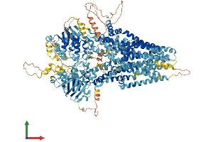 Protein Structure (PS) image for Cystic Fibrosis Transmembrane Conductance Regulator (ATP-Binding Cassette Sub-Family C, Member 7) (CFTR) (AA 1-1476) protein (His tag) (ABIN7563018)