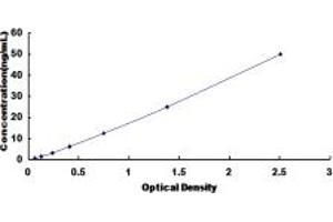 Typical standard curve (GRP94 ELISA 试剂盒)