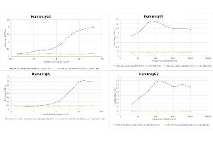 Binding curve of four different formats of anti-COVID-19 & SARS-CoV S glycoprotein antibody CR3022 (ABIN6952546) to SARS-CoV-2 Spike Glycoprotein domains S1 and S2 (His-Tag (Insect Cells)). (Recombinant SARS-CoV-2 Spike S1 抗体  (RBD))