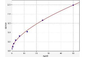 Typical standard curve (SMOX ELISA 试剂盒)