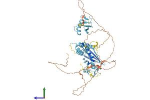 AlphaFold protein structure predicition of Mouse Recombinant Fbxo7 Protein, UniprotID Q3U7U3 (FBXO7 Protein (AA 1-523) (His tag))