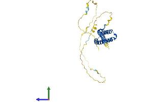 Protein Structure (PS) image for Occludin/ELL Domain Containing 1 (OCEL1) (AA 1-264) protein (His tag) (ABIN7550303)