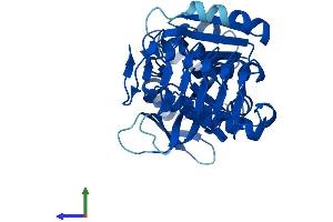 AlphaFold protein structure predicition of Human Recombinant GMPPB Protein, UniprotID Q9Y5P6 (GMPPB Protein (AA 1-360) (His tag))