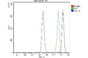 Flow Cytometry analysis of Daudi cells using anti-FGFR2 antibody (ABIN7600690).