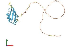 Protein Structure (PS) image for RNA Binding Motif Protein 3 (RBM3) (AA 1-157) protein (His tag) (ABIN7551312)