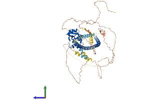 AlphaFold protein structure predicition of Human Recombinant DACH2 Protein, UniprotID Q96NX9