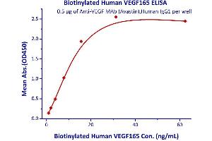 Measured by its binding ability in a functional ELISA. (VEGF 165 (AA 27-191) (Active) protein (His tag,AVI tag,Biotin))