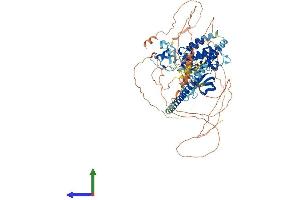 Protein Structure (PS) image for Mitogen-Activated Protein Kinase Kinase Kinase 11 (MAP3K11) (AA 1-850) protein (His tag) (ABIN7564286)