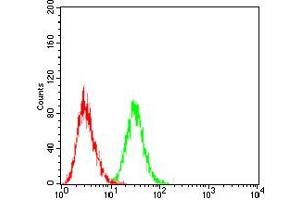 Flow cytometric analysis of Jurkat cells using LHCGR mouse mAb (green) and negative control (red). (LHCGR 抗体)