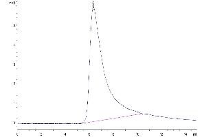 The purity of Cynomolgus Transferrin R is greater than 95 % as determined by SEC-HPLC. (Transferrin Receptor Protein (AA 89-760) (His tag))