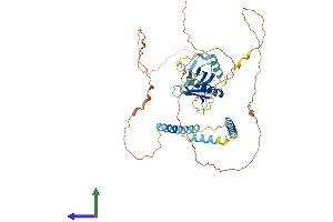 AlphaFold protein structure predicition of Human Recombinant PLEKHO2 Protein, UniprotID Q8TD55