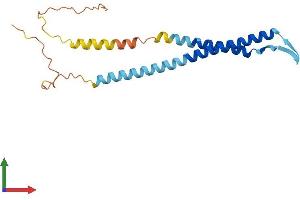 AlphaFold protein structure predicition of Mouse Recombinant Nrsn1 Protein, UniprotID P97799