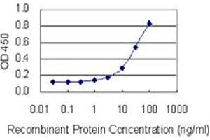 Detection limit for recombinant GST tagged P2RX2 is 1 ng/ml as a capture antibody. (P2RX2 抗体  (AA 128-205))