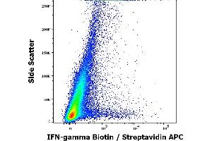 Flow cytometry intracellular staining pattern of human peripheral whole blood (PHA stimulated and Brefeldin A + Monesin treated) stained using anti-human IFN-gamma (4S. (Interferon gamma 抗体  (Biotin))