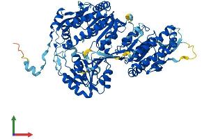 Protein Structure (PS) image for Aldehyde Dehydrogenase 16 Family, Member A1 (ALDH16A1) (AA 1-802) protein (His tag) (ABIN7551914)