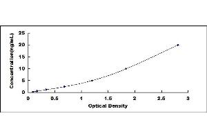 Typical standard curve (IGBP1 ELISA 试剂盒)