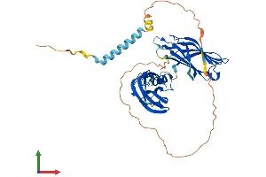 Protein Structure (PS) image for Synaptotagmin VII (SYT7) (AA 1-403) protein (His tag) (ABIN7555689)