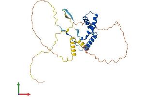 Protein Structure (PS) image for SRY (Sex Determining Region Y)-Box 21 (SOX21) (AA 1-276) protein (His tag) (ABIN7558486)
