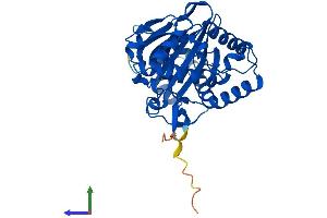 Protein Structure (PS) image for 2-Oxoglutarate and Iron-Dependent Oxygenase Domain Containing 2 (OGFOD2) (AA 1-350) protein (His tag) (ABIN7550433)