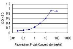 Detection limit for recombinant GST tagged C17orf75 is approximately 0. (C17orf75 抗体  (AA 1-396))