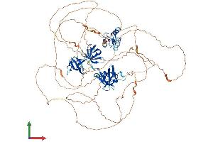 Protein Structure (PS) image for SH3 Domain Containing Ring Finger 1 (SH3RF1) (AA 1-892) protein (His tag) (ABIN7564022)