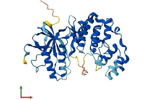 Protein Structure (PS) image for Mitogen-Activated Protein Kinase 11 (MAPK11) (AA 1-364) protein (His tag) (ABIN7565220)