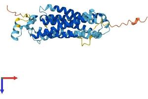 OST alpha Protein (AA 1-340) (His tag)
