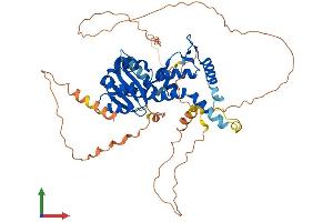 Protein Structure (PS) image for Exonuclease 3'-5' Domain Containing 1 (EXD1) (AA 1-514) protein (His tag) (ABIN7553866)