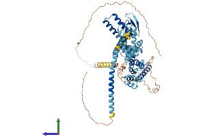 Protein Structure (PS) image for Cyclic Nucleotide Gated Channel alpha 3 (CNGA3) (AA 1-694) protein (His tag) (ABIN7553511)