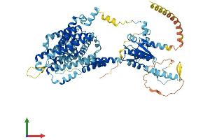 Protein Structure (PS) image for Solute Carrier Family 26, Member 4 (SLC26A4) (AA 1-780) protein (His tag) (ABIN7555326)