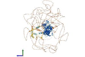 Protein Structure (PS) image for Cdc2-Related Kinase, Arginine/serine-Rich (CRKRS) (AA 1-1484) protein (His tag) (ABIN7563636)