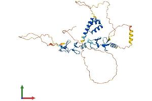 Protein Structure (PS) image for LIM Homeobox 2 (LHX2) (AA 1-406) protein (His tag) (ABIN7556351)