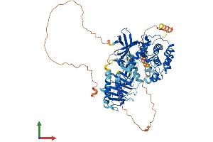 Protein Structure (PS) image for Polo-Like Kinase 2 (PLK2) (AA 1-682) protein (His tag) (ABIN7563429)