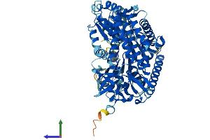 AlphaFold protein structure predicition of Mouse Recombinant Dhx58 Protein, UniprotID Q99J87