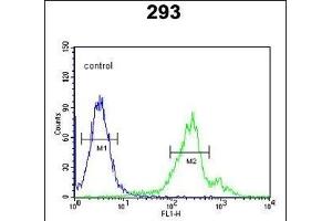CDC42EP3 Antibody (N-term) (ABIN652721 and ABIN2842477) flow cytometric analysis of 293 cells (right histogram) compared to a negative control cell (left histogram). (CDC42EP3 抗体  (N-Term))