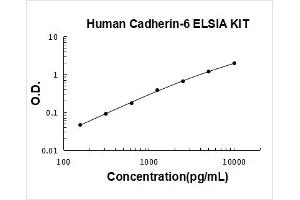 K-Cadherin (CDH6) ELISA Kit