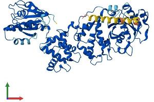 Protein Structure (PS) image for Ras Homolog Gene Family, Member T1 (RHOT1) (AA 1-618) protein (His tag) (ABIN7549485)