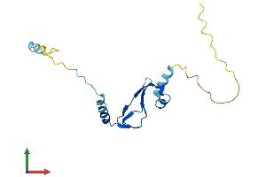 Protein Structure (PS) image for Basic Transcription Factor 3-Like 4 (BTF3L4) (AA 1-158) protein (His tag) (ABIN7552910)